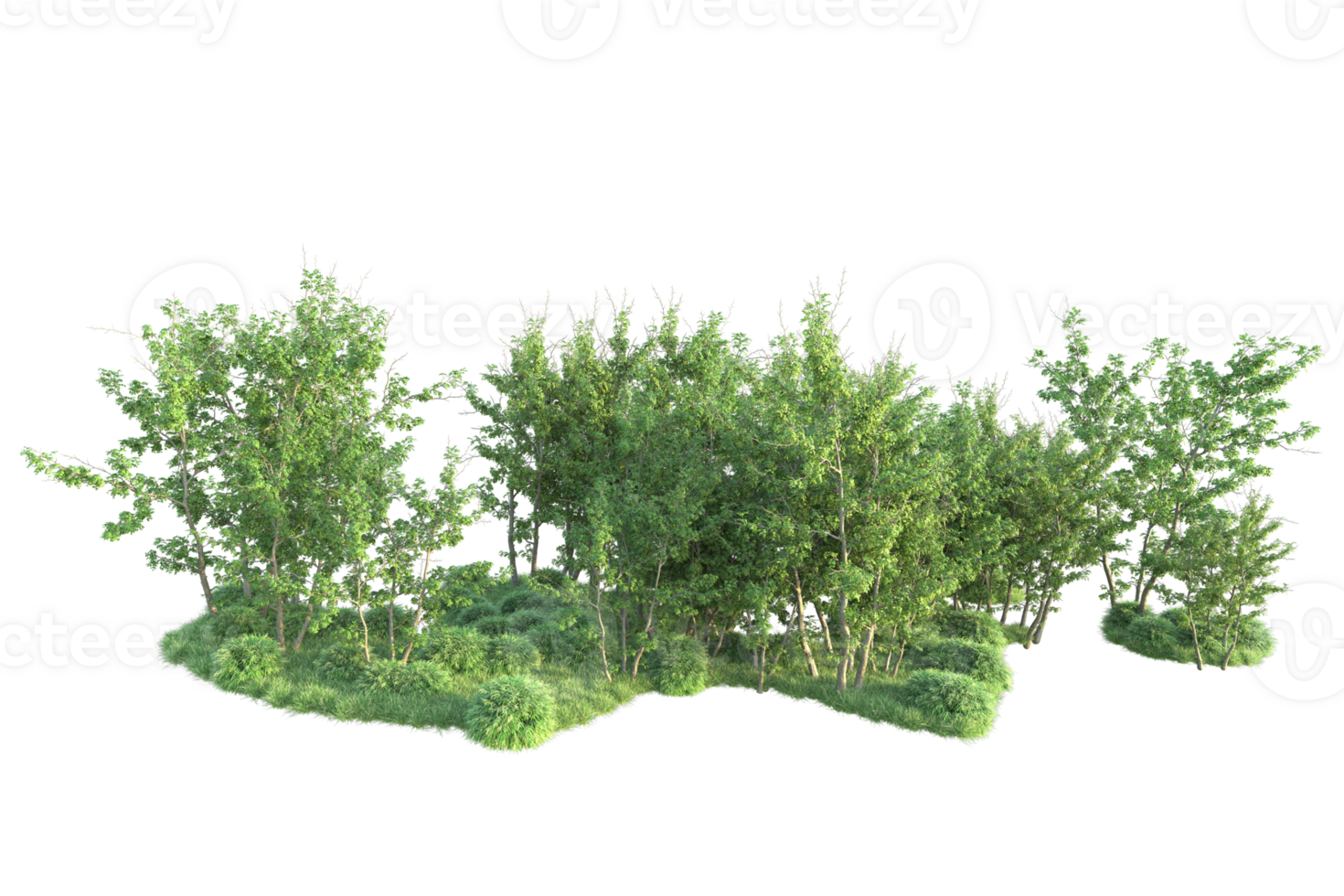 Tropical forest isolated on transparent background. 3d rendering - illustration png