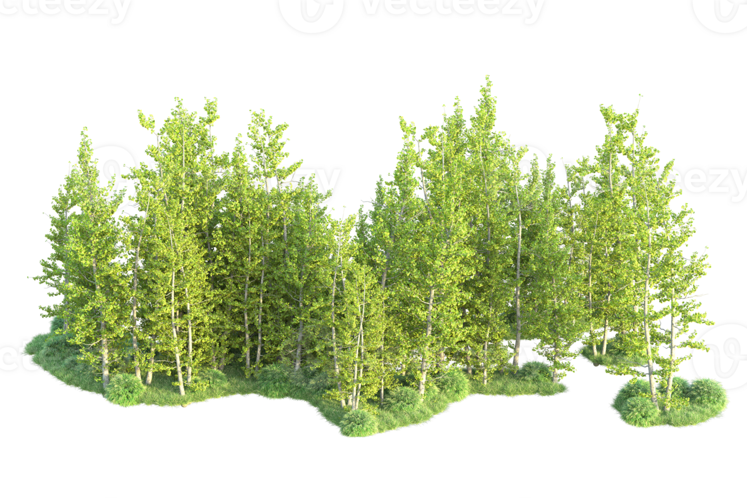Tropical forest isolated on transparent background. 3d rendering - illustration png