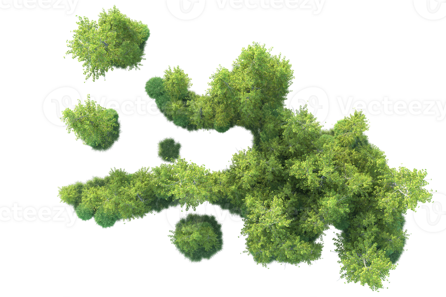 Tropical forest isolated on transparent background. 3d rendering - illustration png