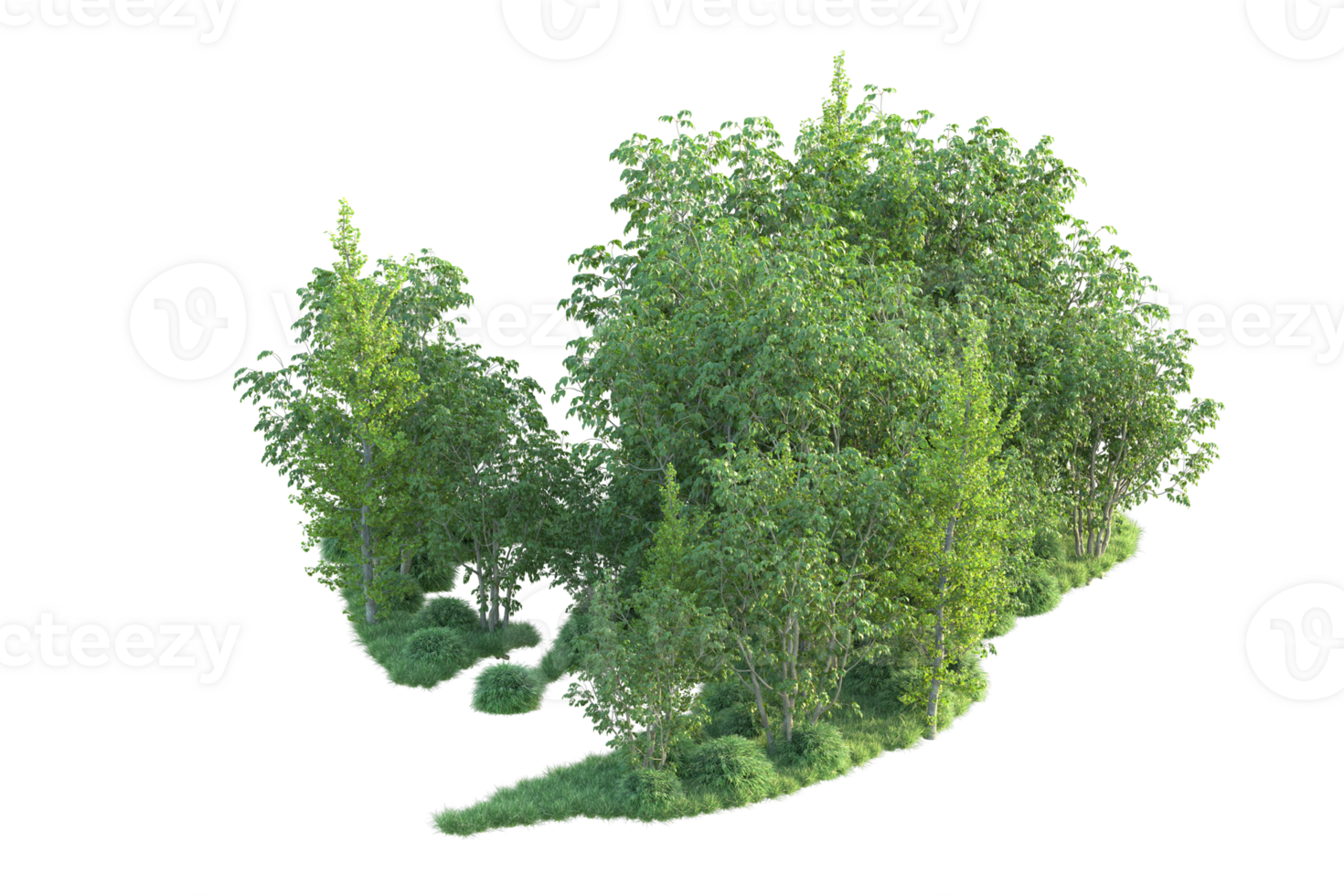 Tropical forest isolated on transparent background. 3d rendering - illustration png