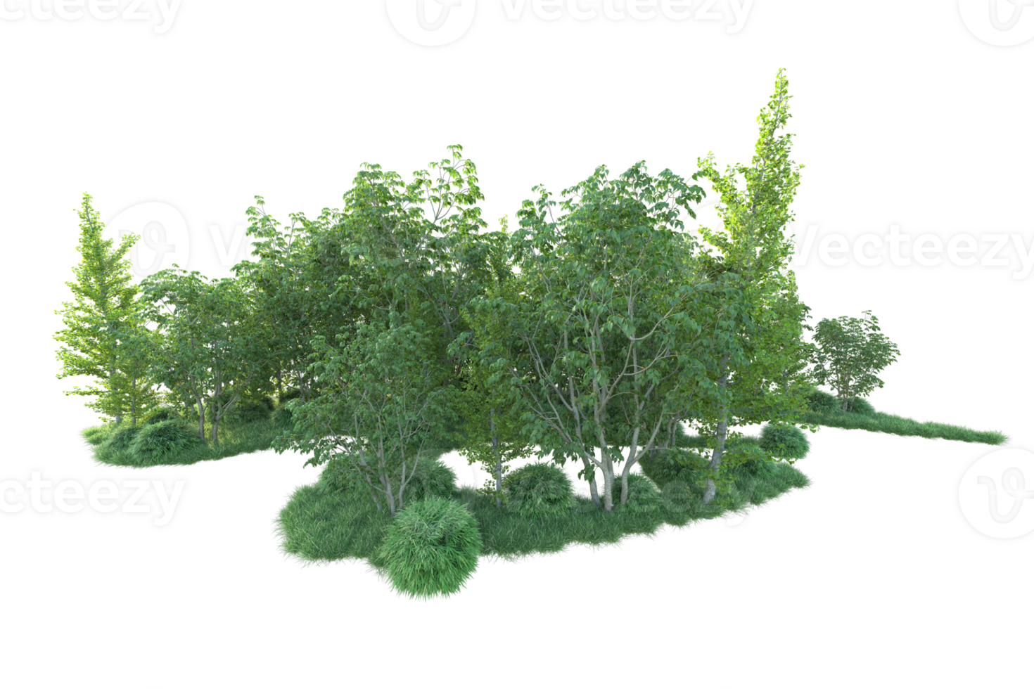 Tropical forest isolated on transparent background. 3d rendering - illustration png