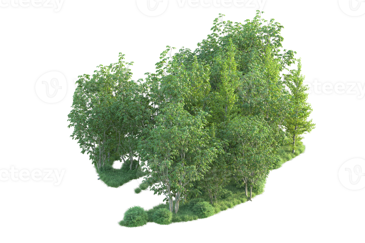 Tropical forest isolated on transparent background. 3d rendering - illustration png