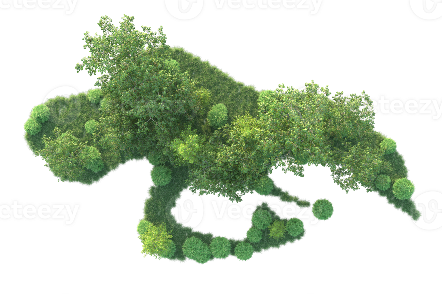 Tropical forest isolated on transparent background. 3d rendering - illustration png