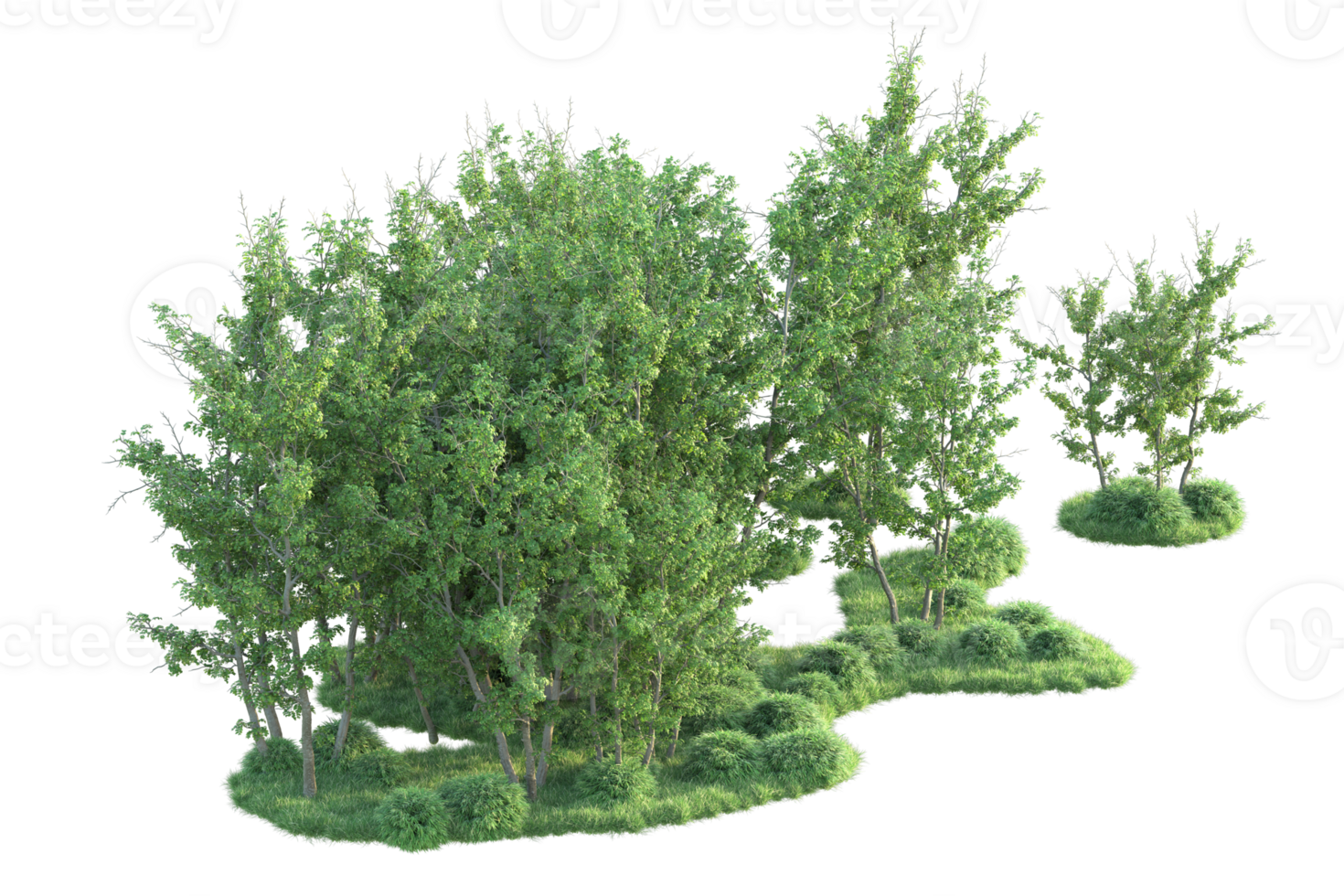 Tropical forest isolated on transparent background. 3d rendering - illustration png