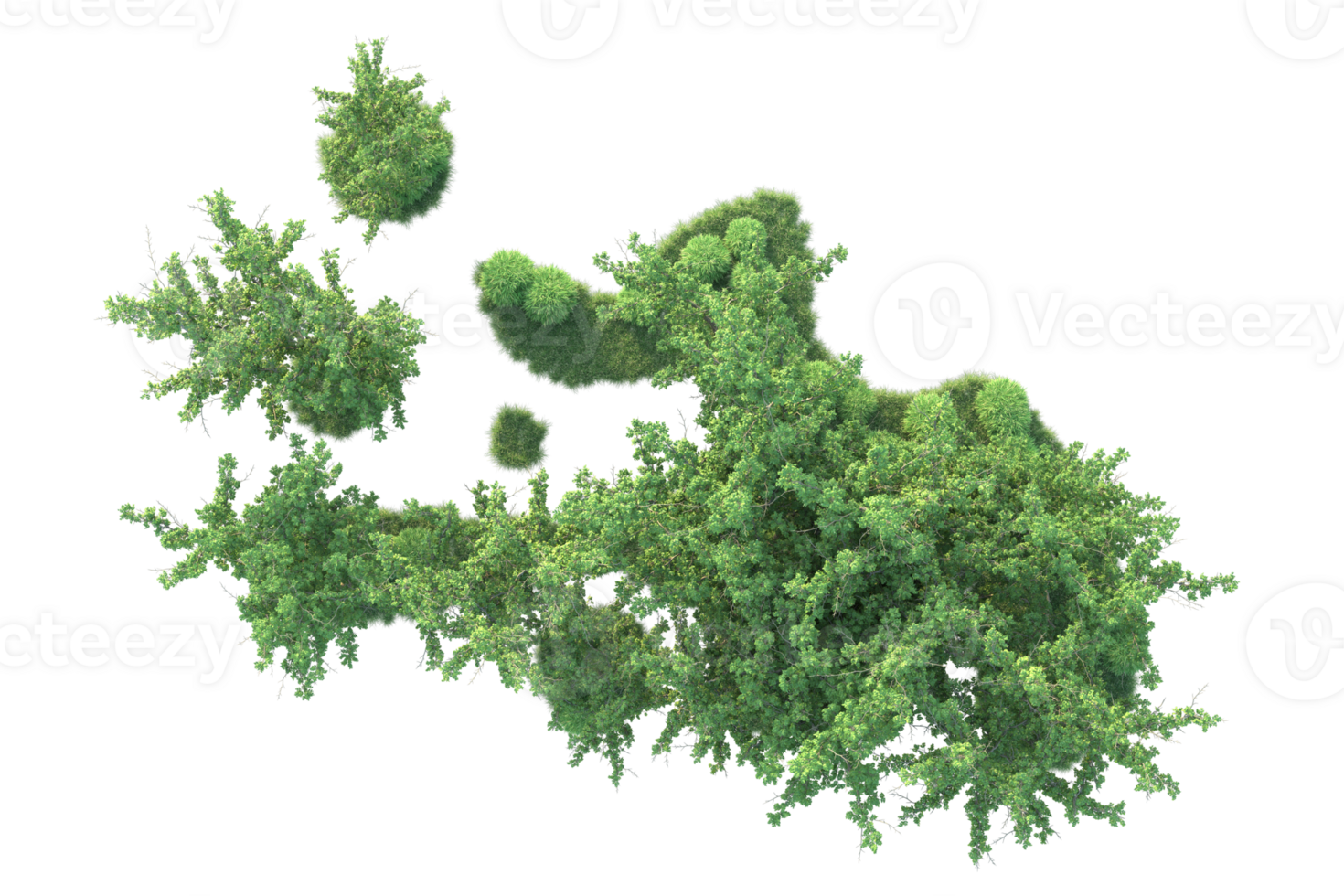 Tropical forest isolated on transparent background. 3d rendering - illustration png