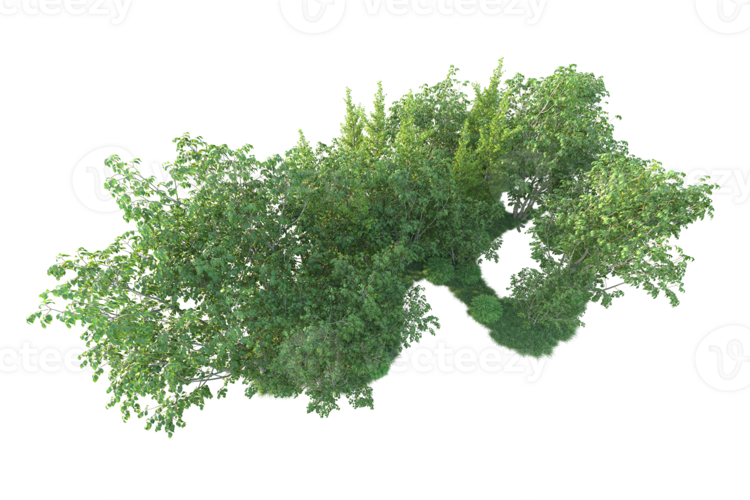 Tropical forest isolated on transparent background. 3d rendering - illustration png
