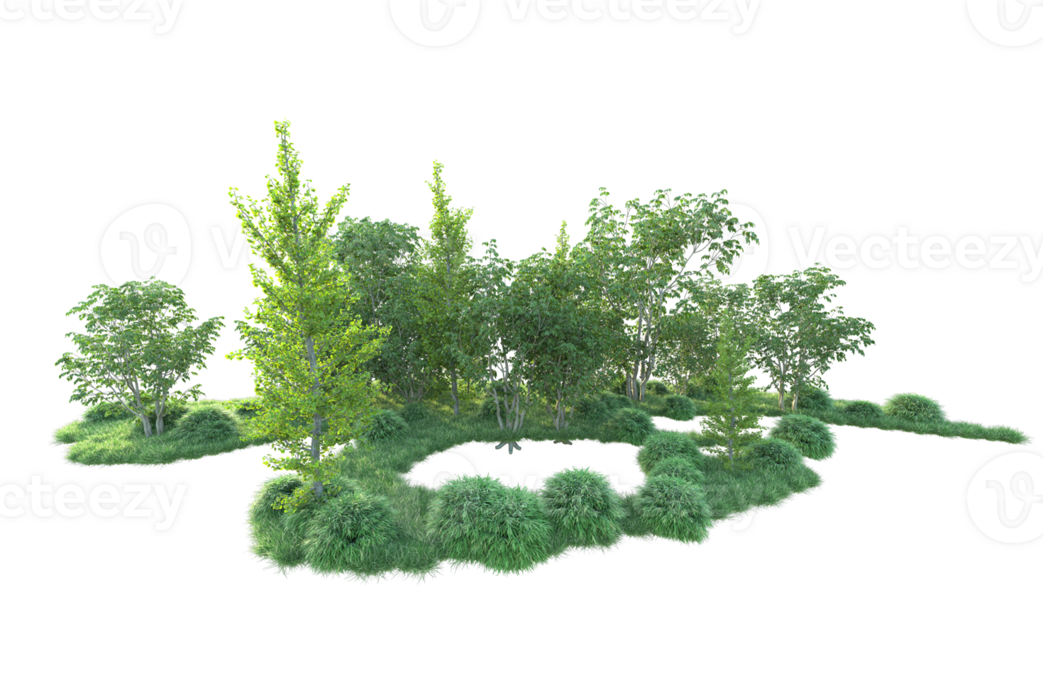 Tropical forest isolated on transparent background. 3d rendering - illustration png