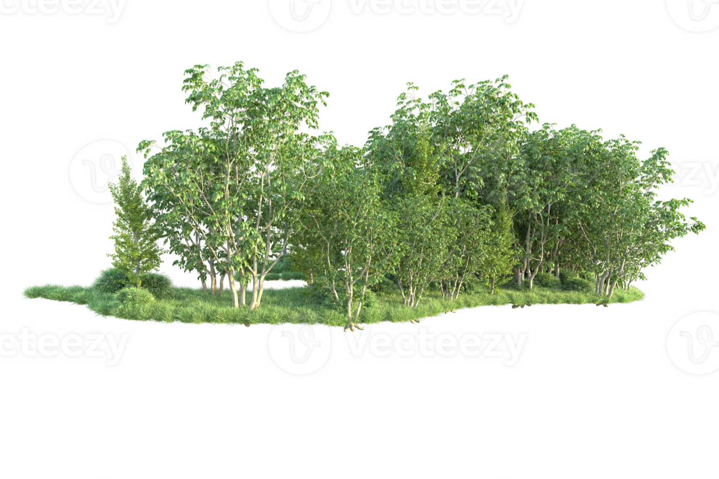Tropical forest isolated on transparent background. 3d rendering - illustration png