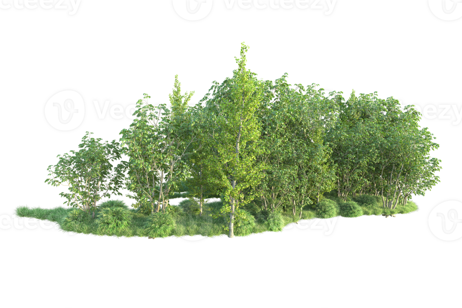 Tropical forest isolated on transparent background. 3d rendering - illustration png