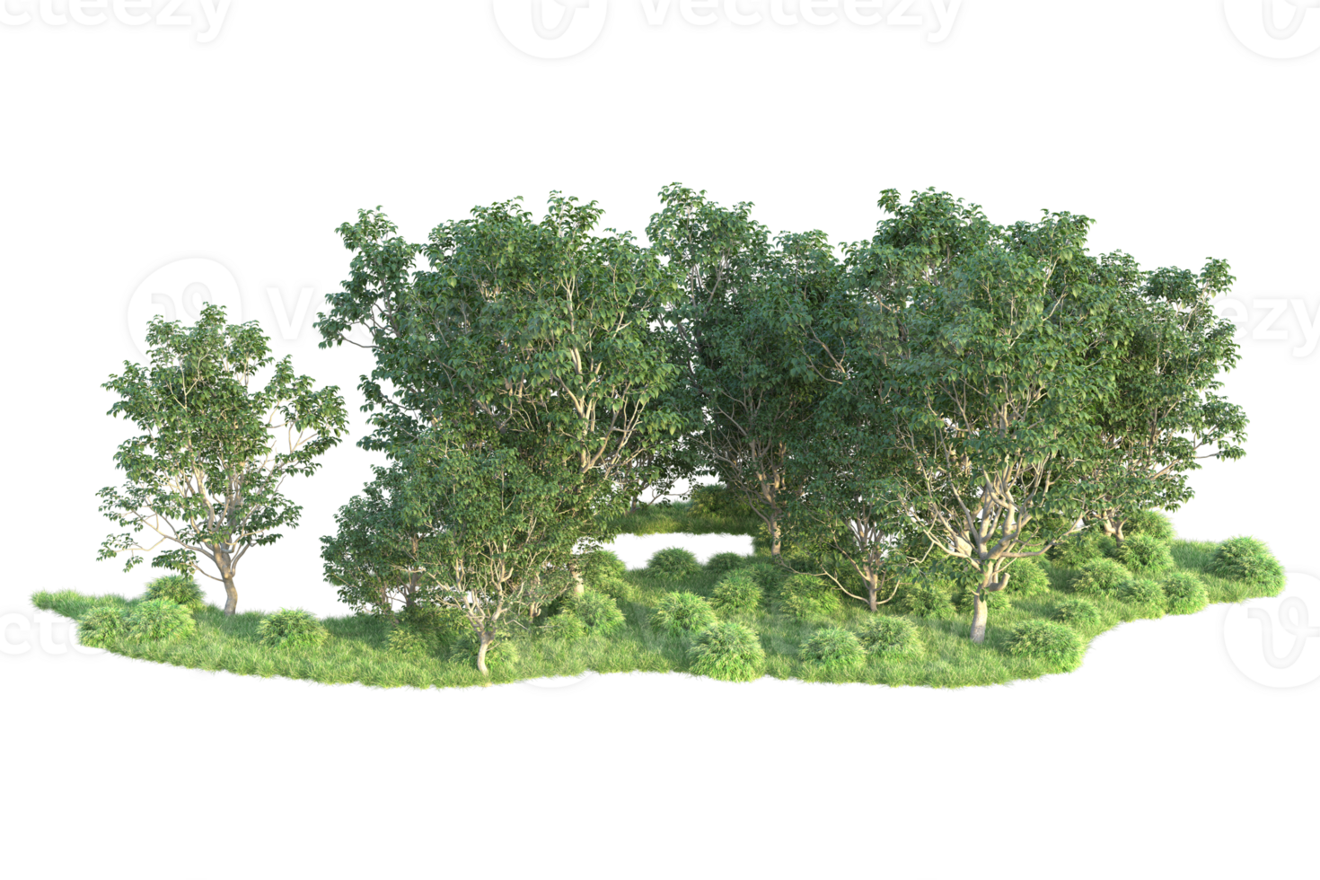 Tropical forest isolated on transparent background. 3d rendering - illustration png