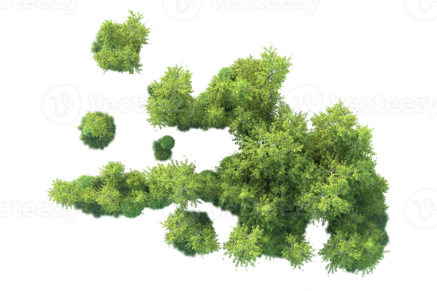 Tropical forest isolated on transparent background. 3d rendering - illustration png
