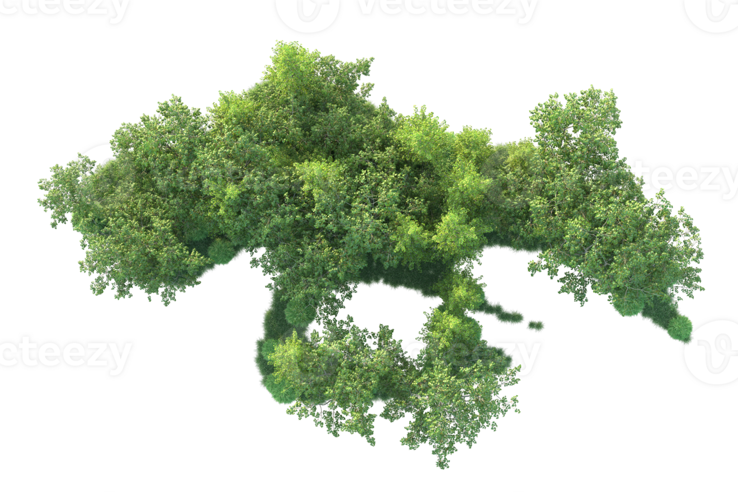 Tropical forest isolated on transparent background. 3d rendering - illustration png