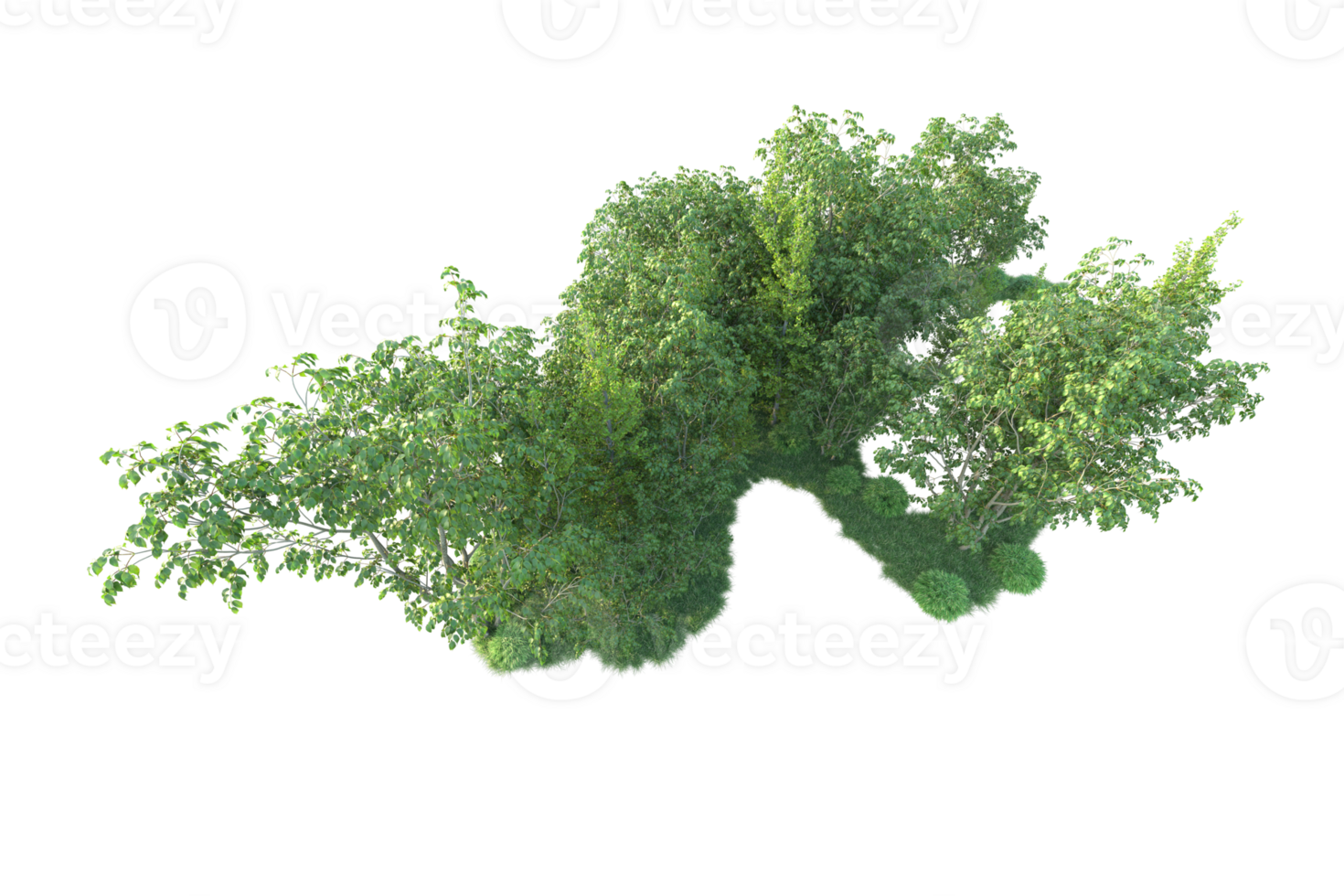 Tropical forest isolated on transparent background. 3d rendering - illustration png