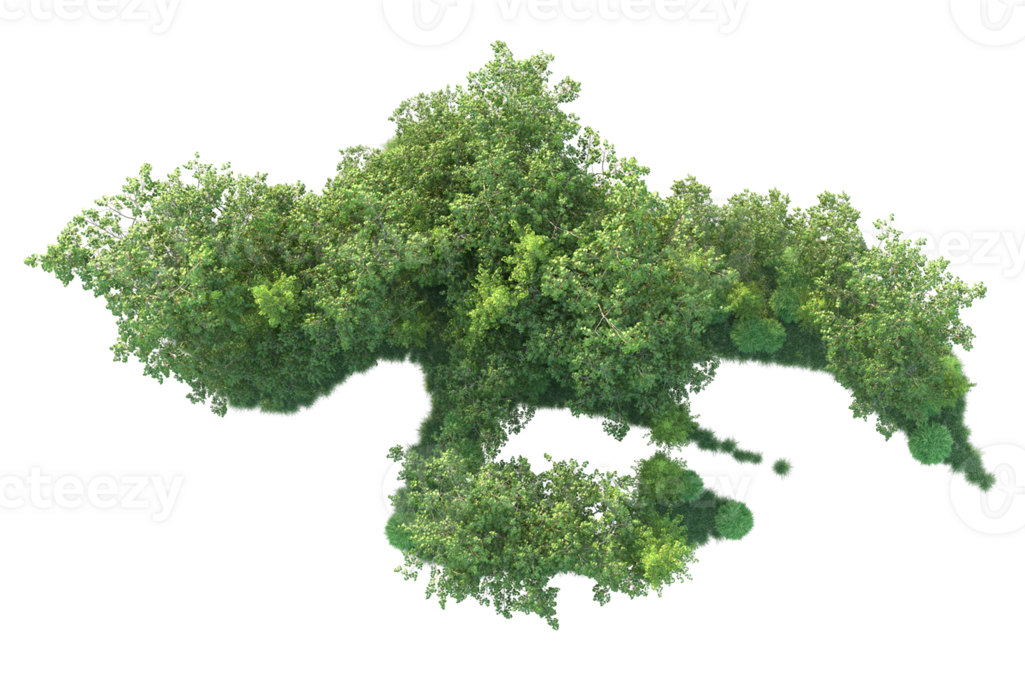 Tropical forest isolated on transparent background. 3d rendering - illustration png