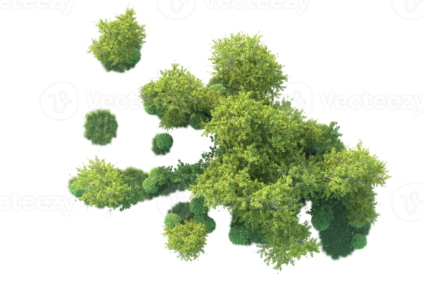 Tropical forest isolated on transparent background. 3d rendering - illustration png