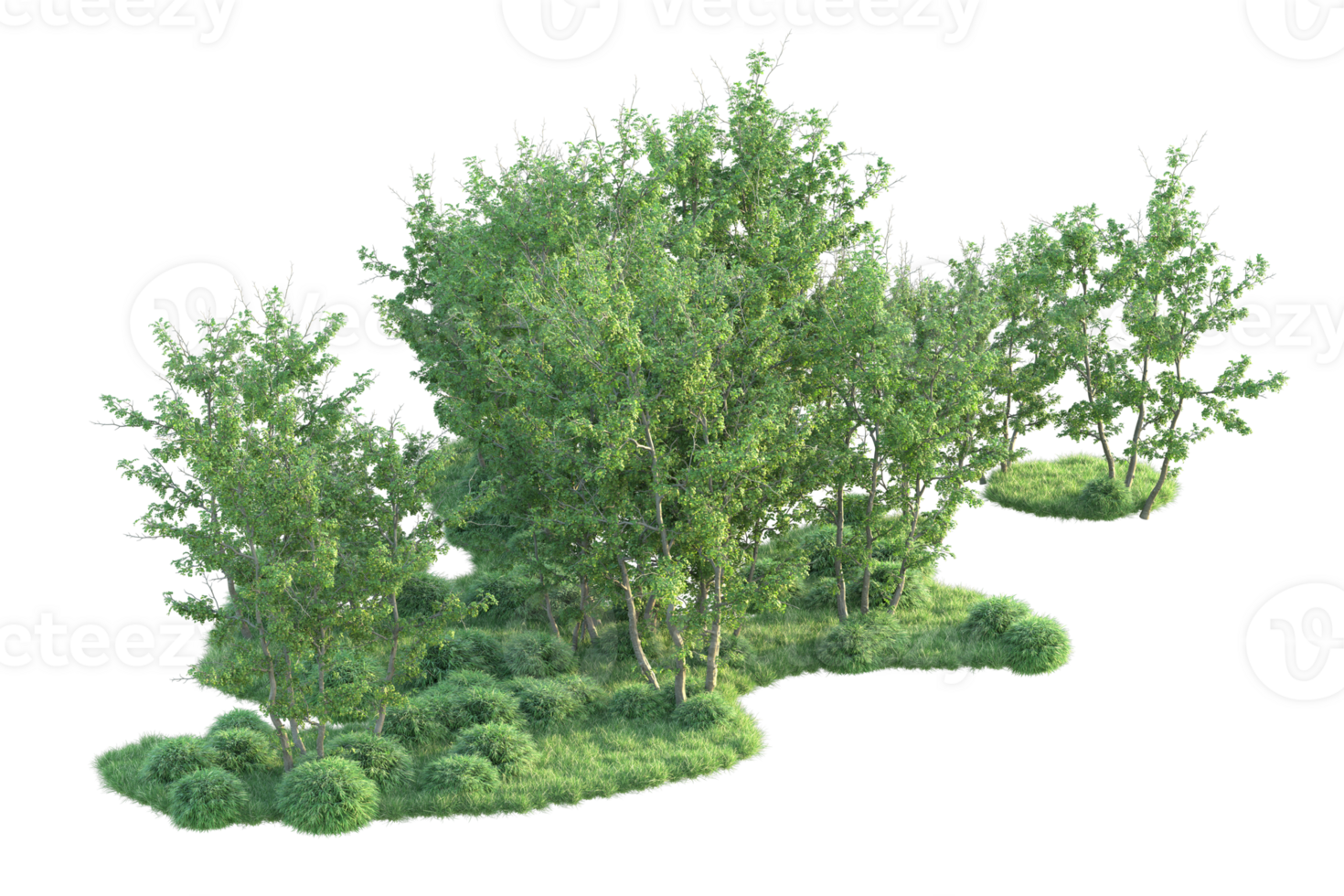 Tropical forest isolated on transparent background. 3d rendering - illustration png