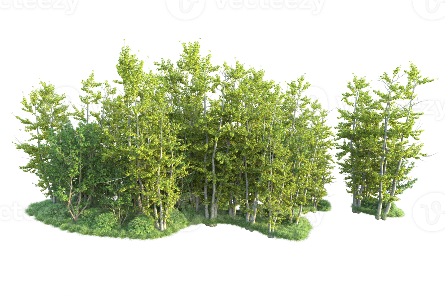 Tropical forest isolated on transparent background. 3d rendering - illustration png