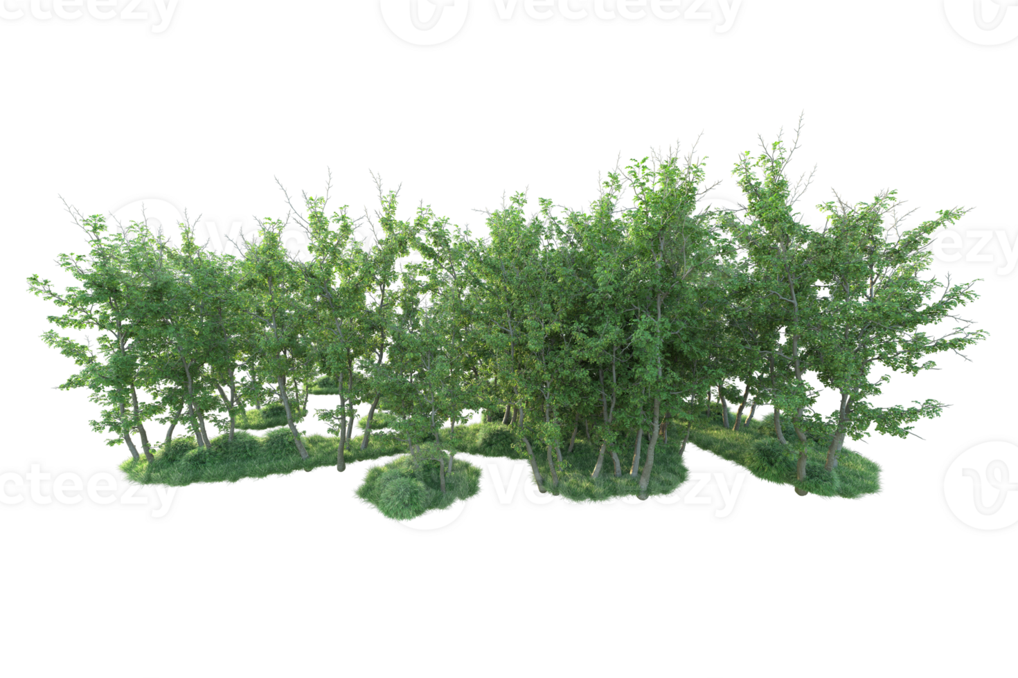 Tropical forest isolated on transparent background. 3d rendering - illustration png