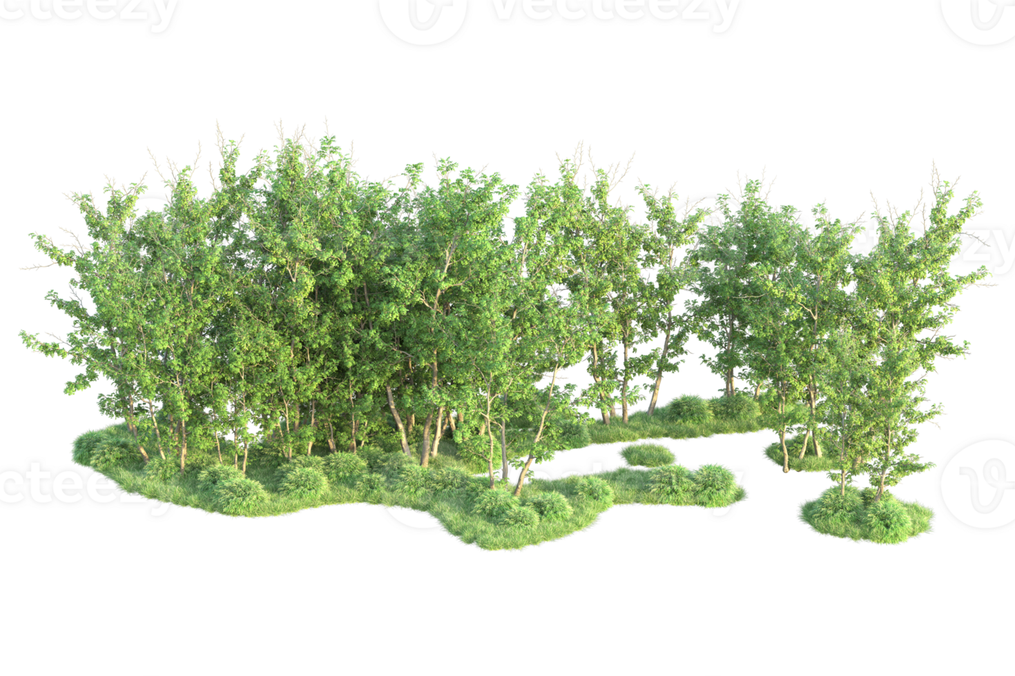 Tropical forest isolated on transparent background. 3d rendering - illustration png