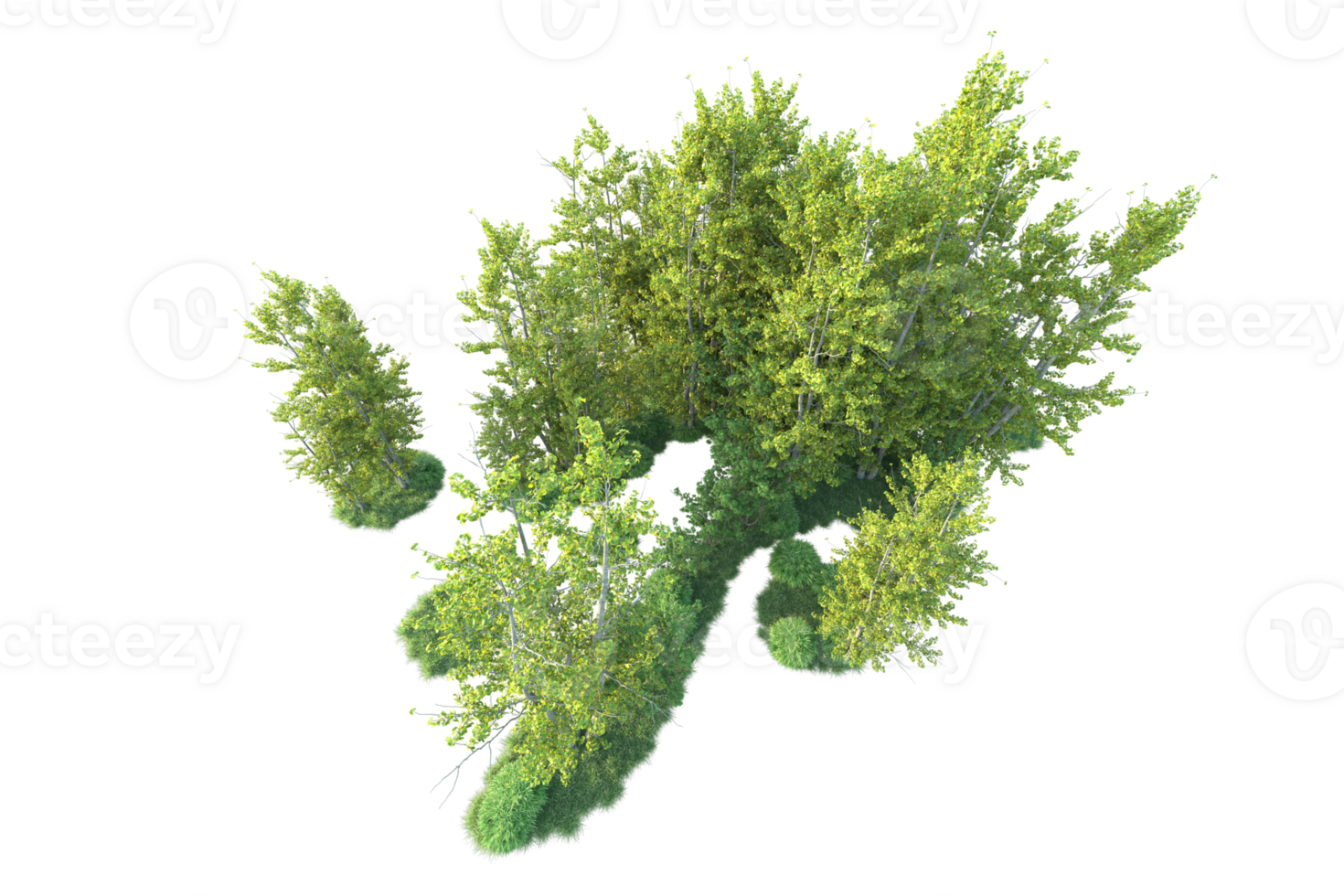 Tropical forest isolated on transparent background. 3d rendering - illustration png
