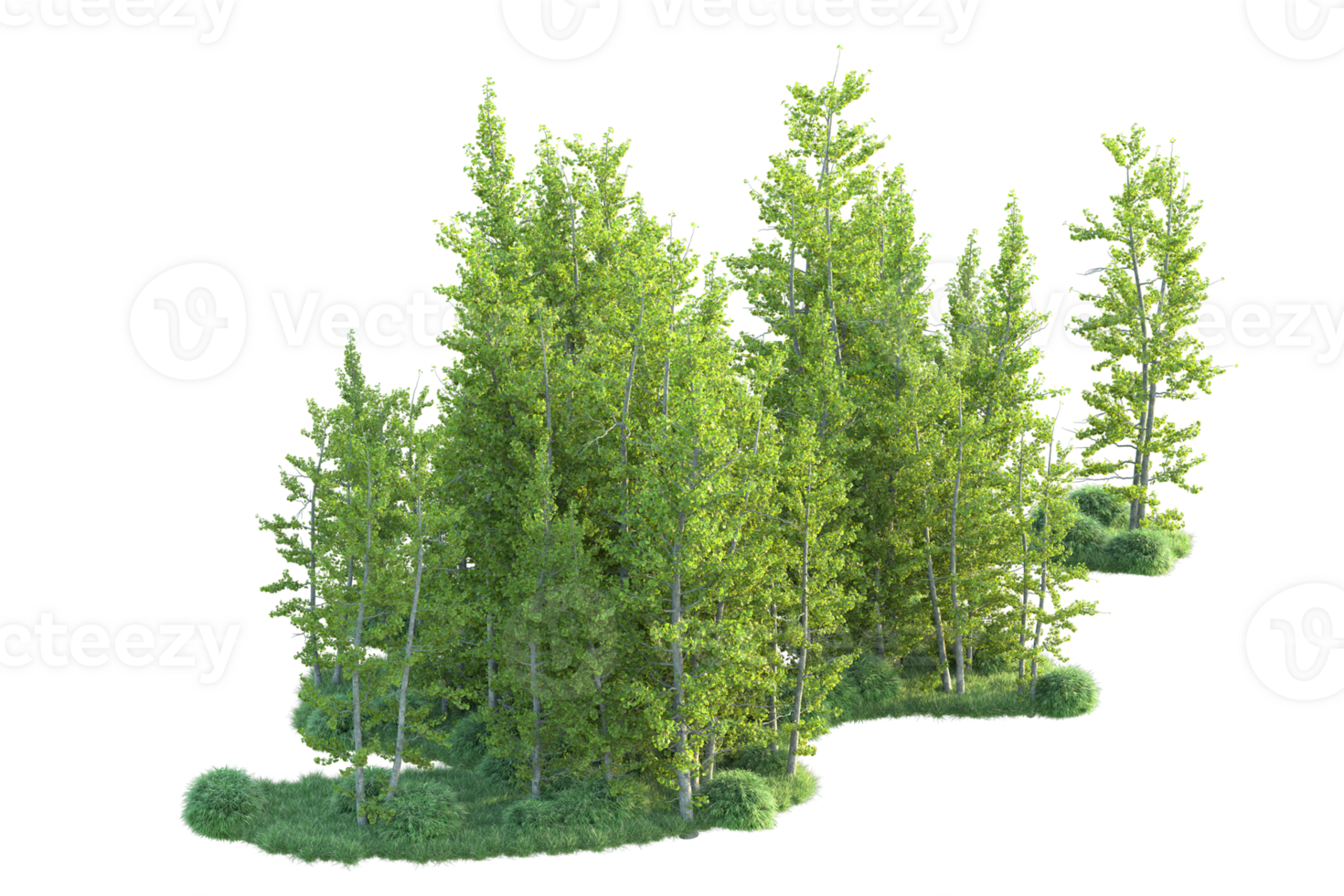 Tropical forest isolated on transparent background. 3d rendering - illustration png