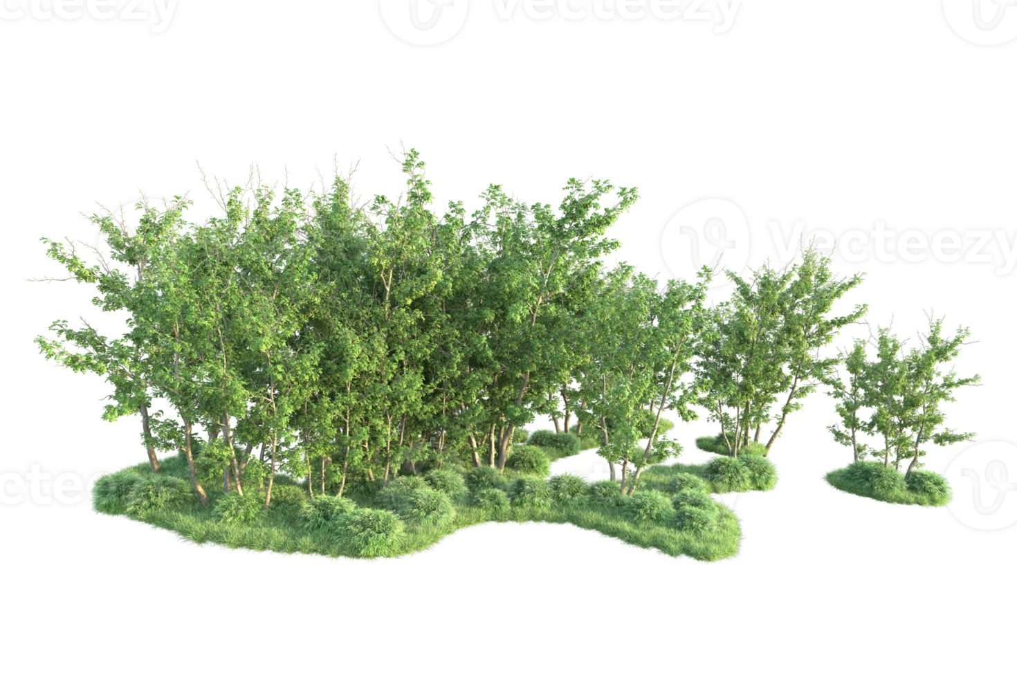 Tropical forest isolated on transparent background. 3d rendering - illustration png