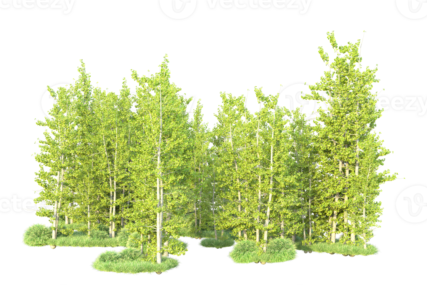 Tropical forest isolated on transparent background. 3d rendering - illustration png