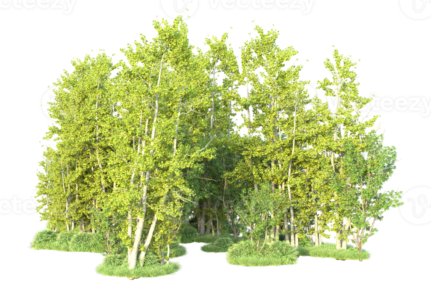 Tropical forest isolated on transparent background. 3d rendering - illustration png
