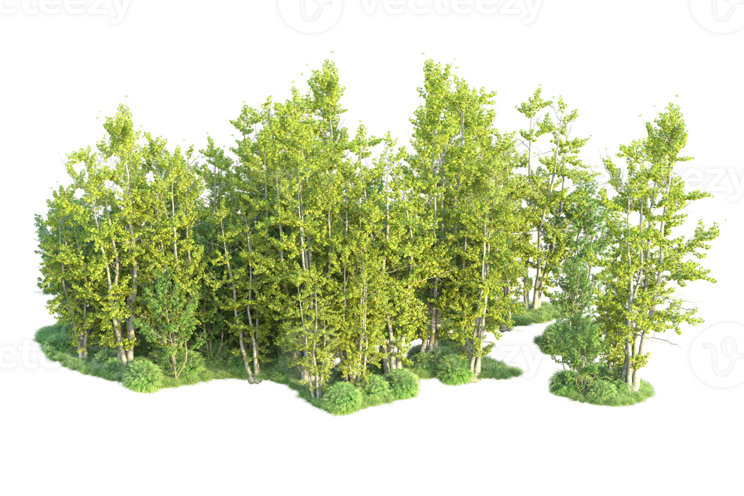 Tropical forest isolated on transparent background. 3d rendering - illustration png