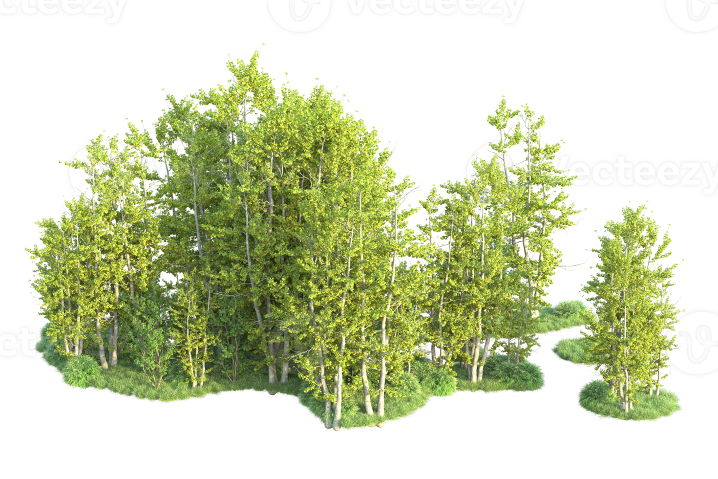 Tropical forest isolated on transparent background. 3d rendering - illustration png