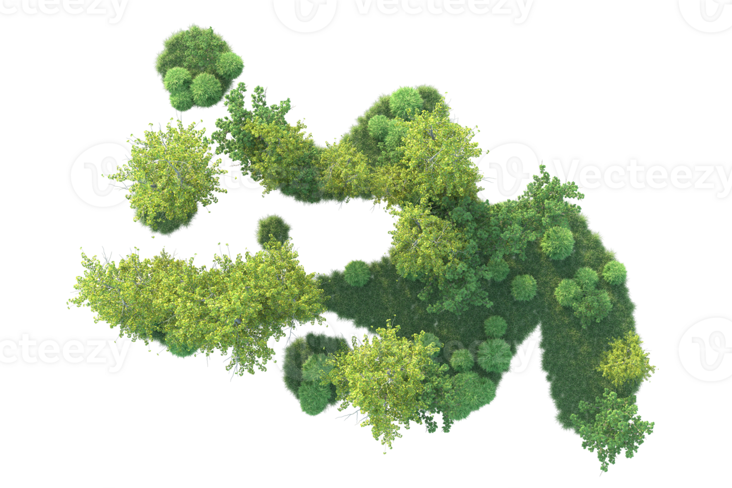 Tropical forest isolated on transparent background. 3d rendering - illustration png