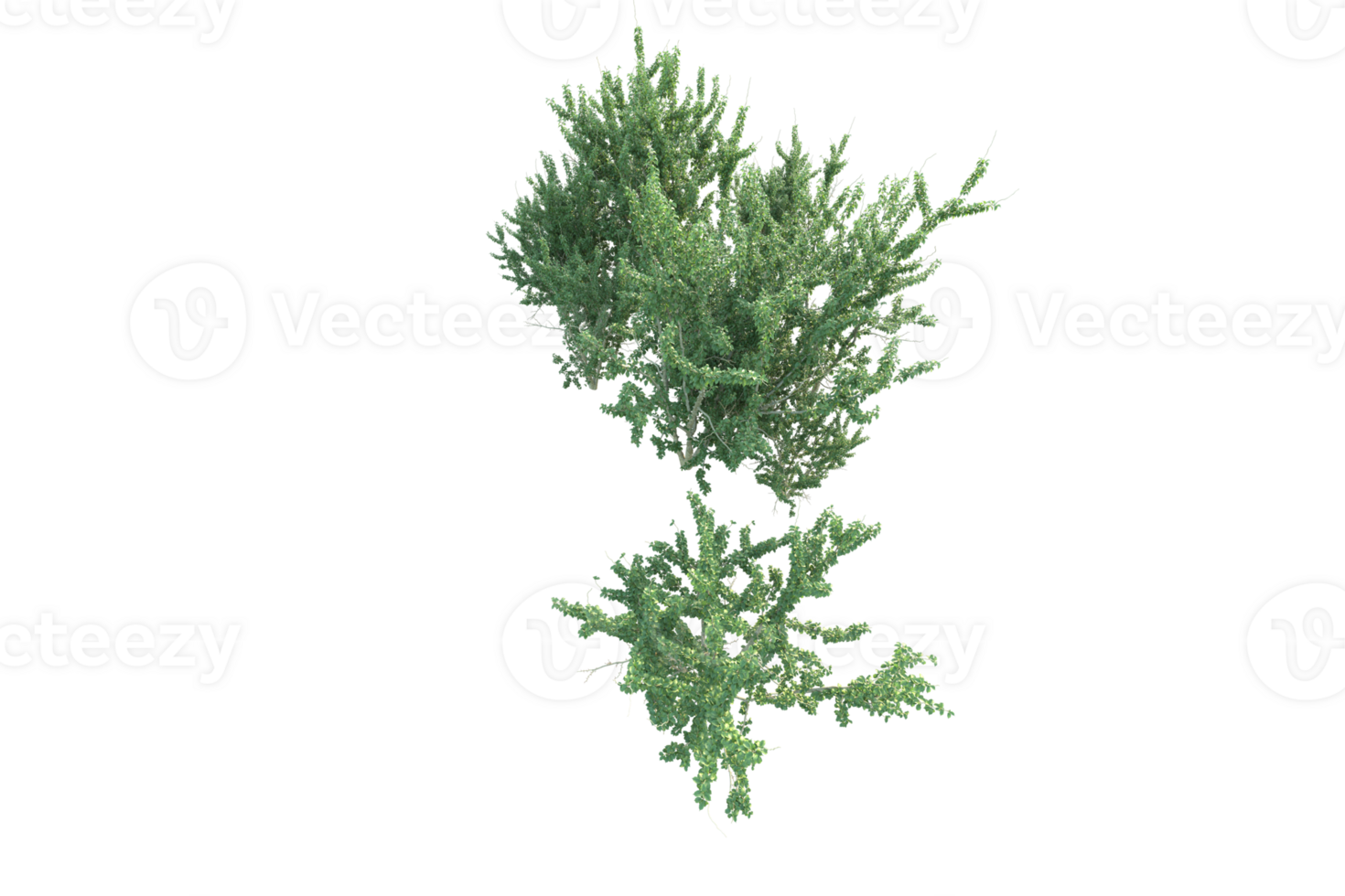tropical bosque aislado en transparente antecedentes. 3d representación - ilustración png