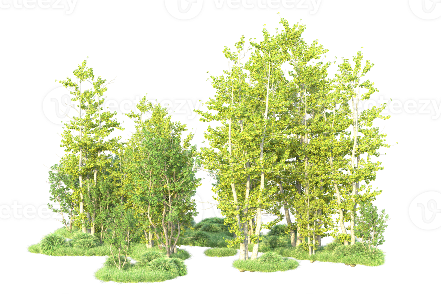 Tropical forest isolated on transparent background. 3d rendering - illustration png
