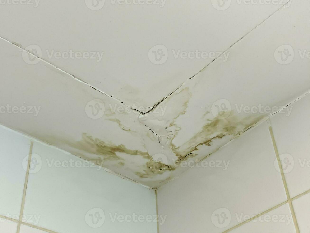 Water damage leaking from the ceiling concept photo