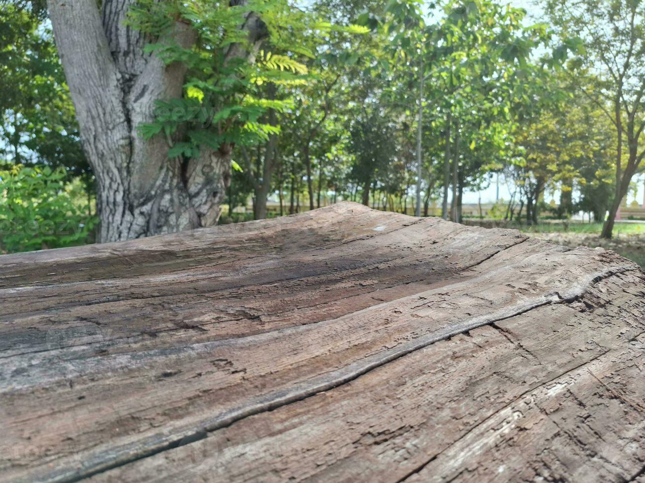 A picture of a wooden plank with cracks and a blurred view. photo