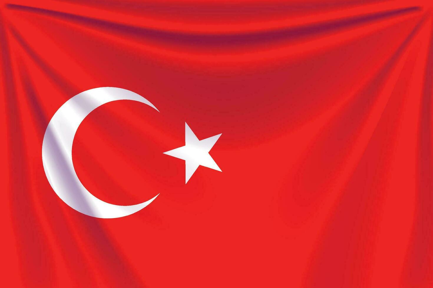 back flag turkey vector