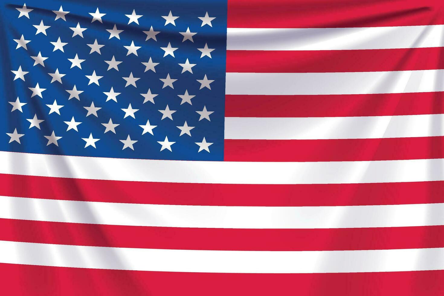 back flag usa vector