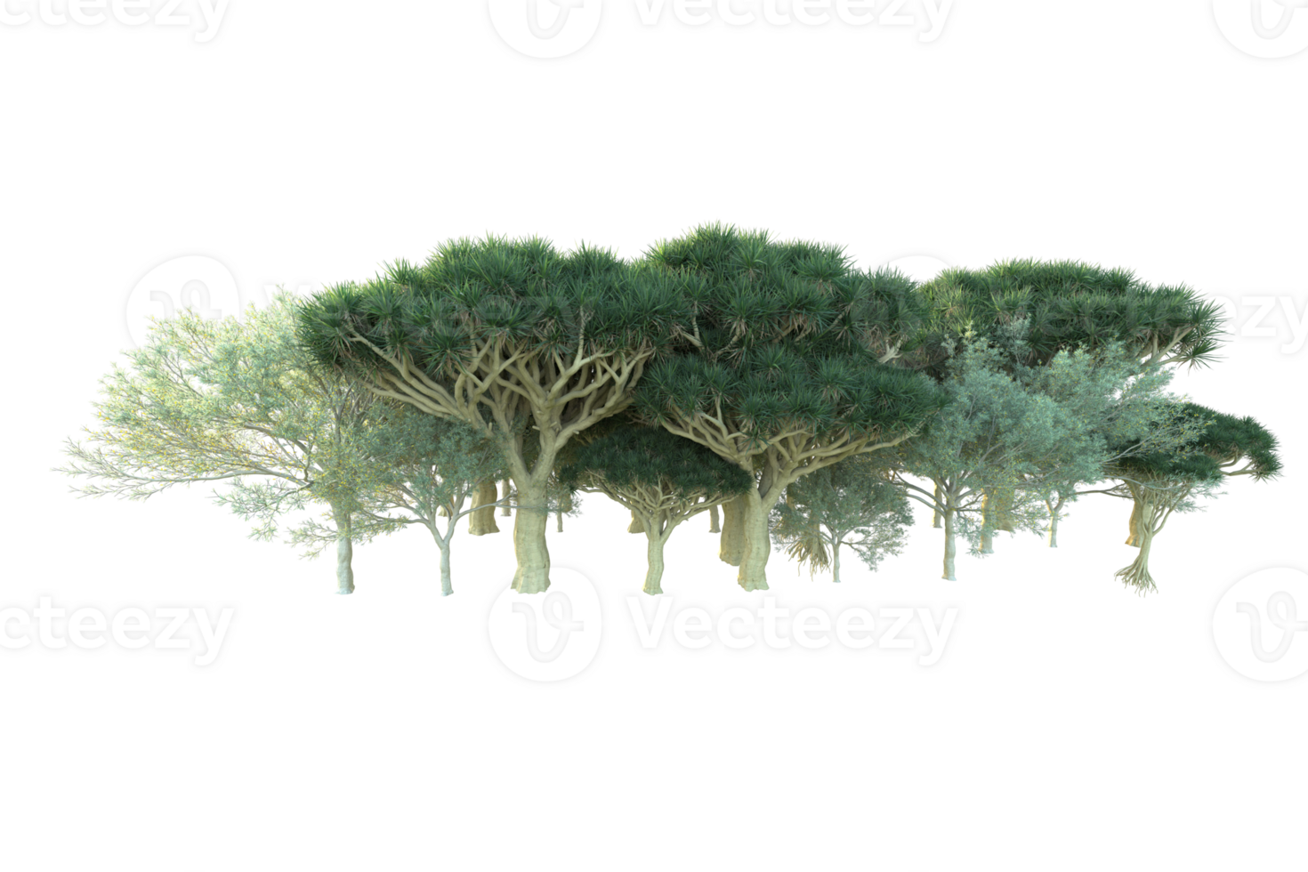 Tropical forest isolated on transparent background. 3d rendering - illustration png