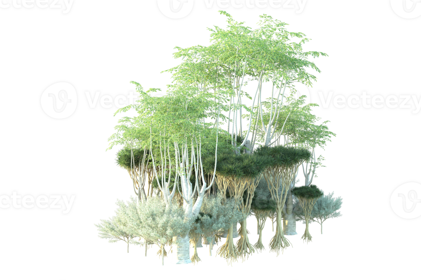 Tropical forest isolated on transparent background. 3d rendering - illustration png