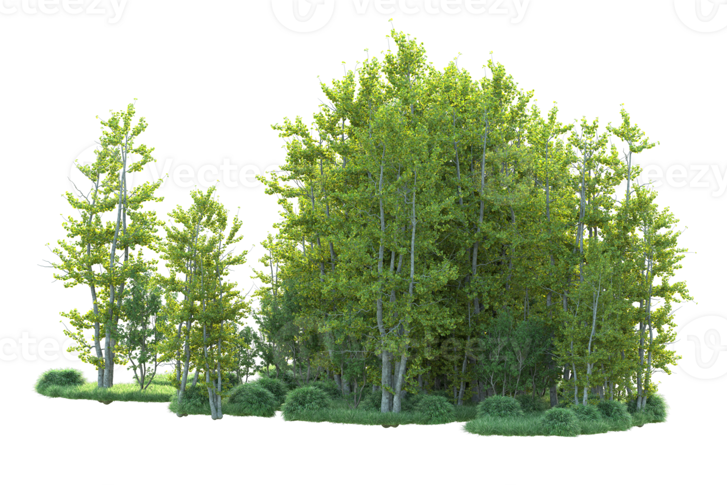 Tropical forest isolated on transparent background. 3d rendering - illustration png