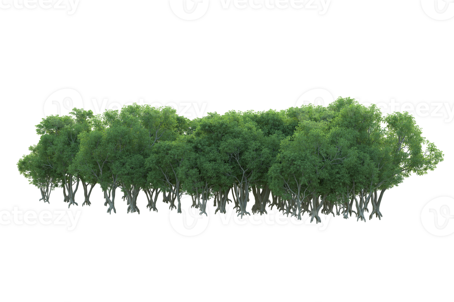 Tropical forest isolated on transparent background. 3d rendering - illustration png