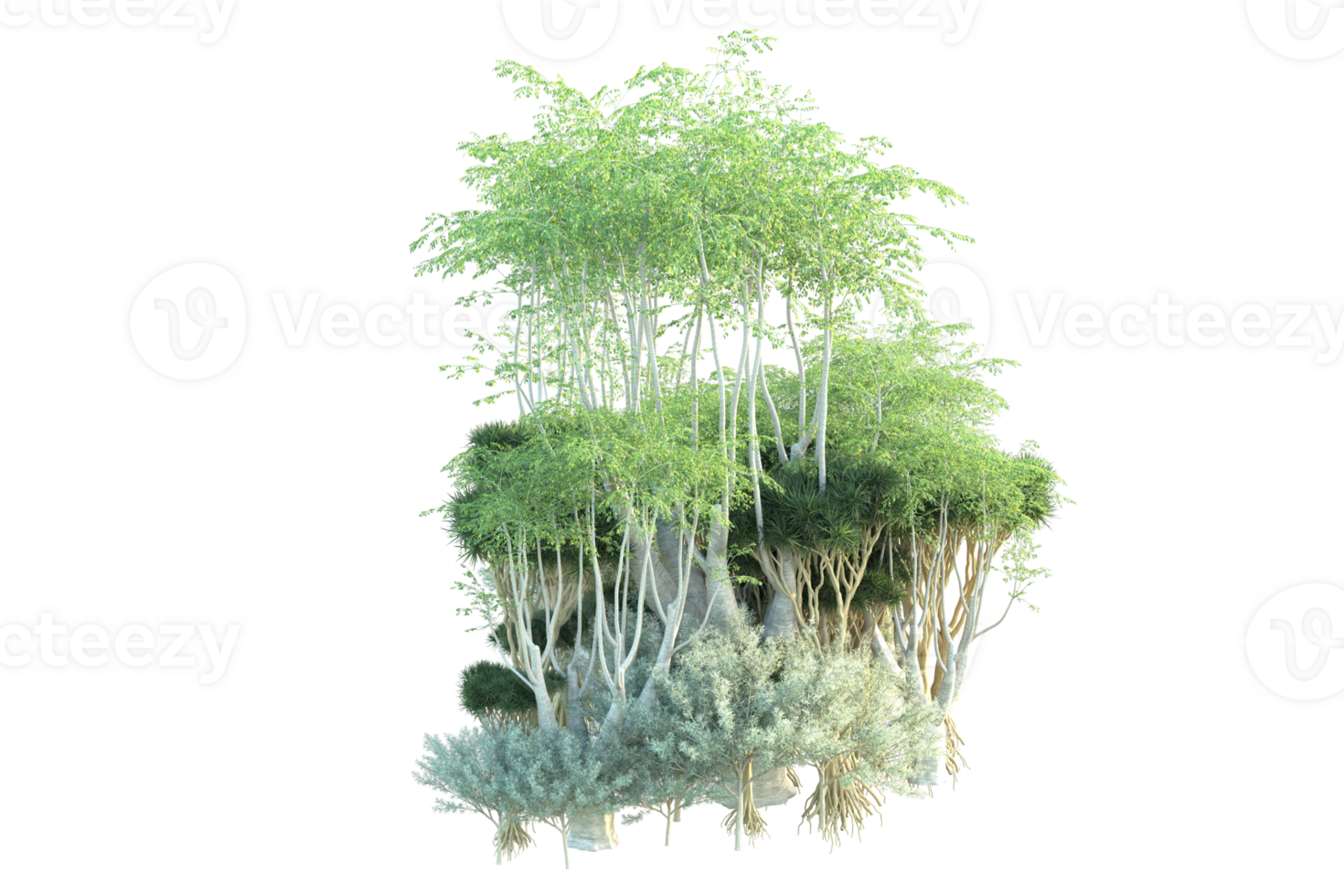 Tropical forest isolated on transparent background. 3d rendering - illustration png