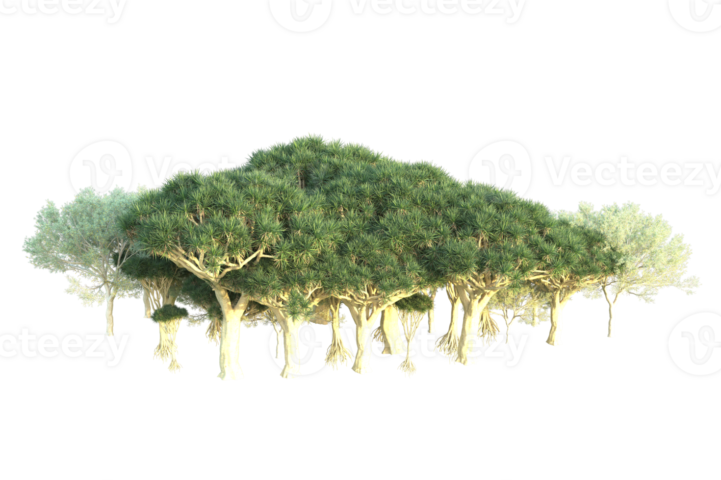 Tropical forest isolated on transparent background. 3d rendering - illustration png