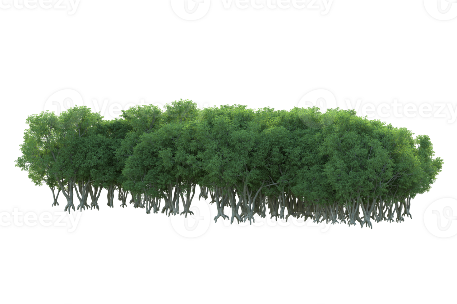 Tropical forest isolated on transparent background. 3d rendering - illustration png