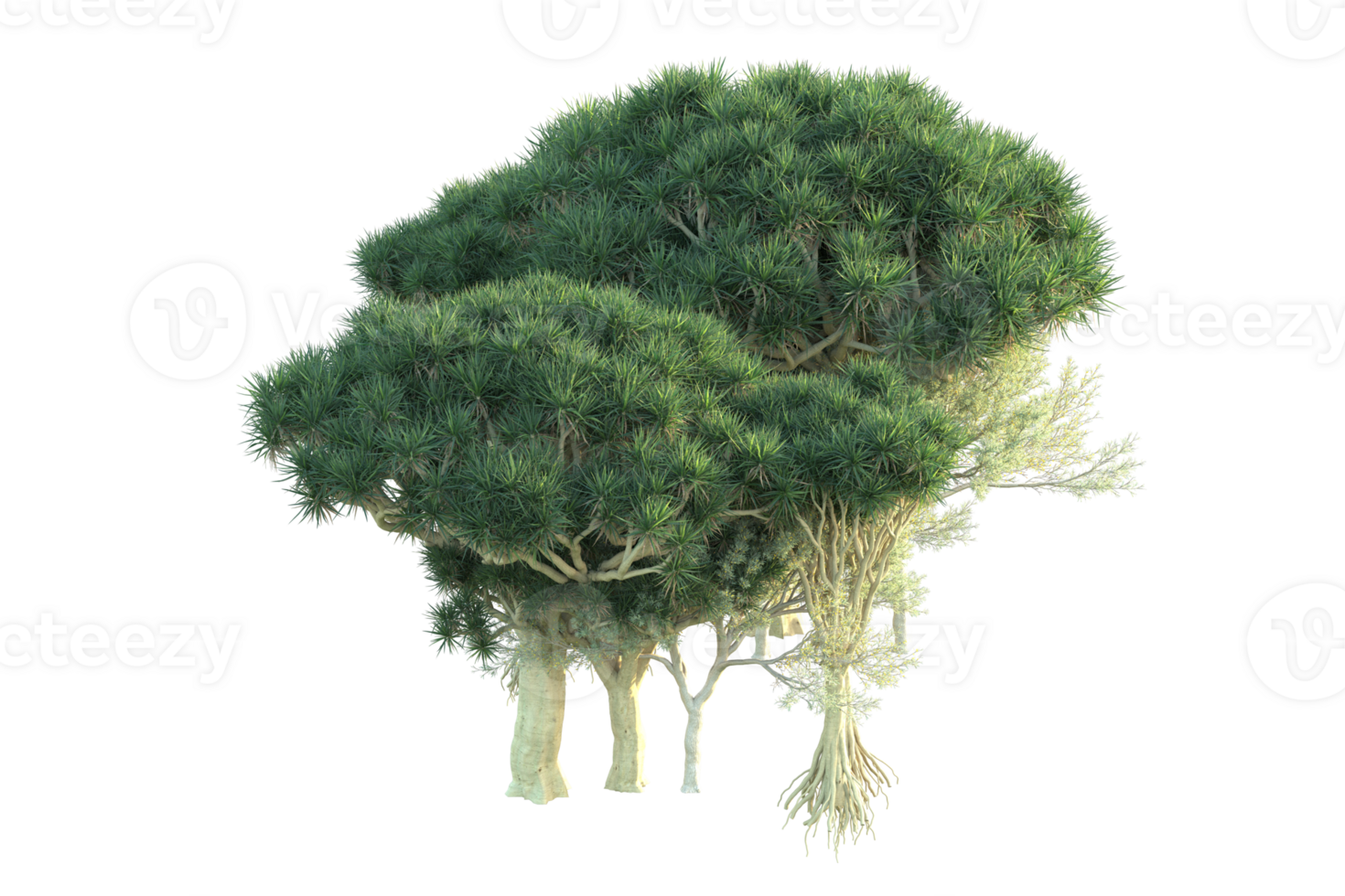 Tropical forest isolated on transparent background. 3d rendering - illustration png