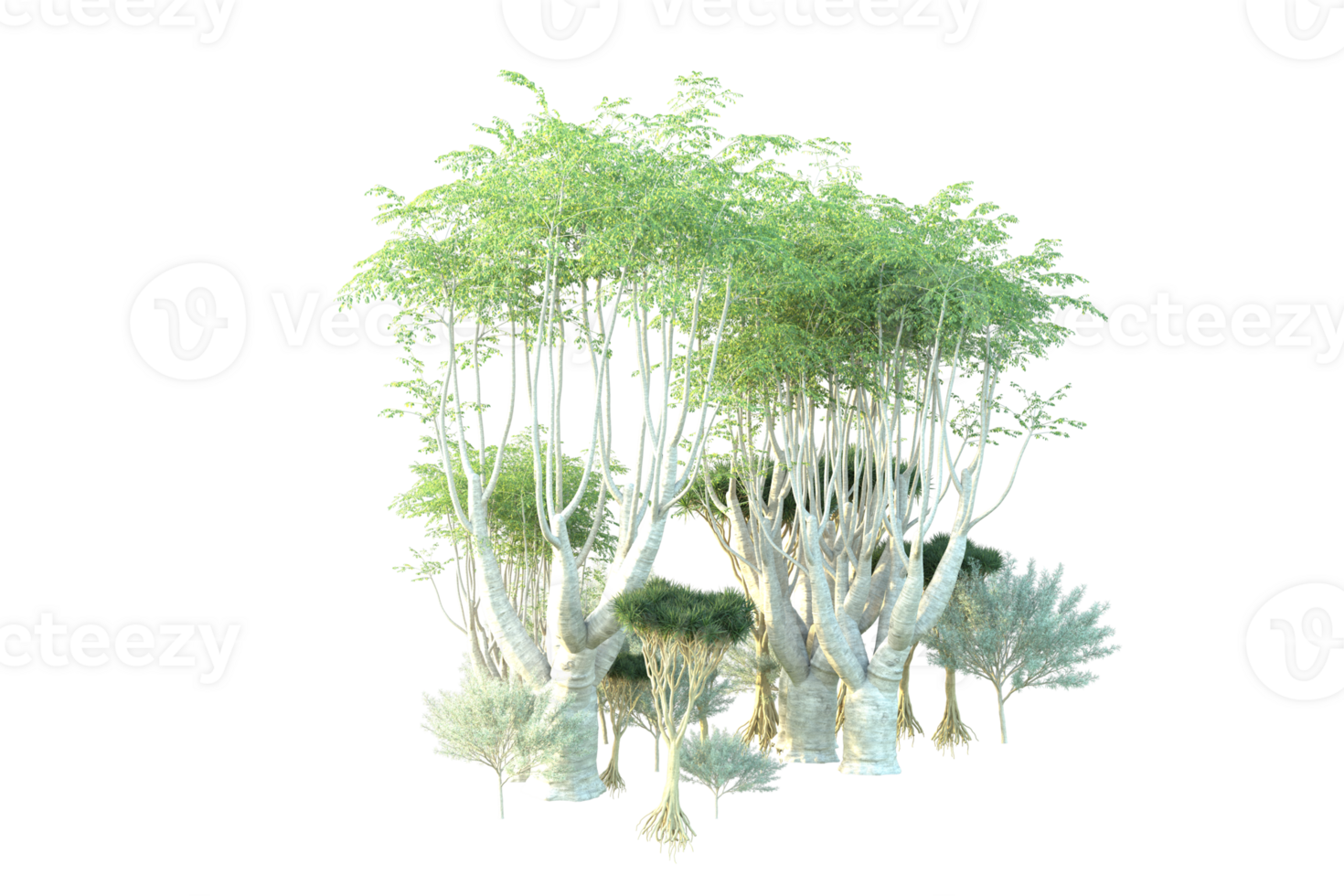 Tropical forest isolated on transparent background. 3d rendering - illustration png