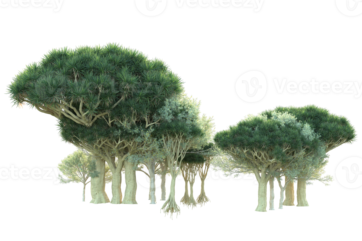 Tropical forest isolated on transparent background. 3d rendering - illustration png