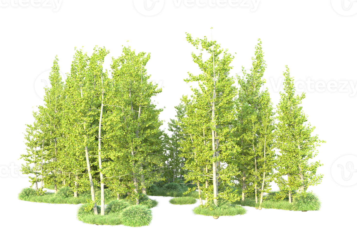 Tropical forest isolated on transparent background. 3d rendering - illustration png