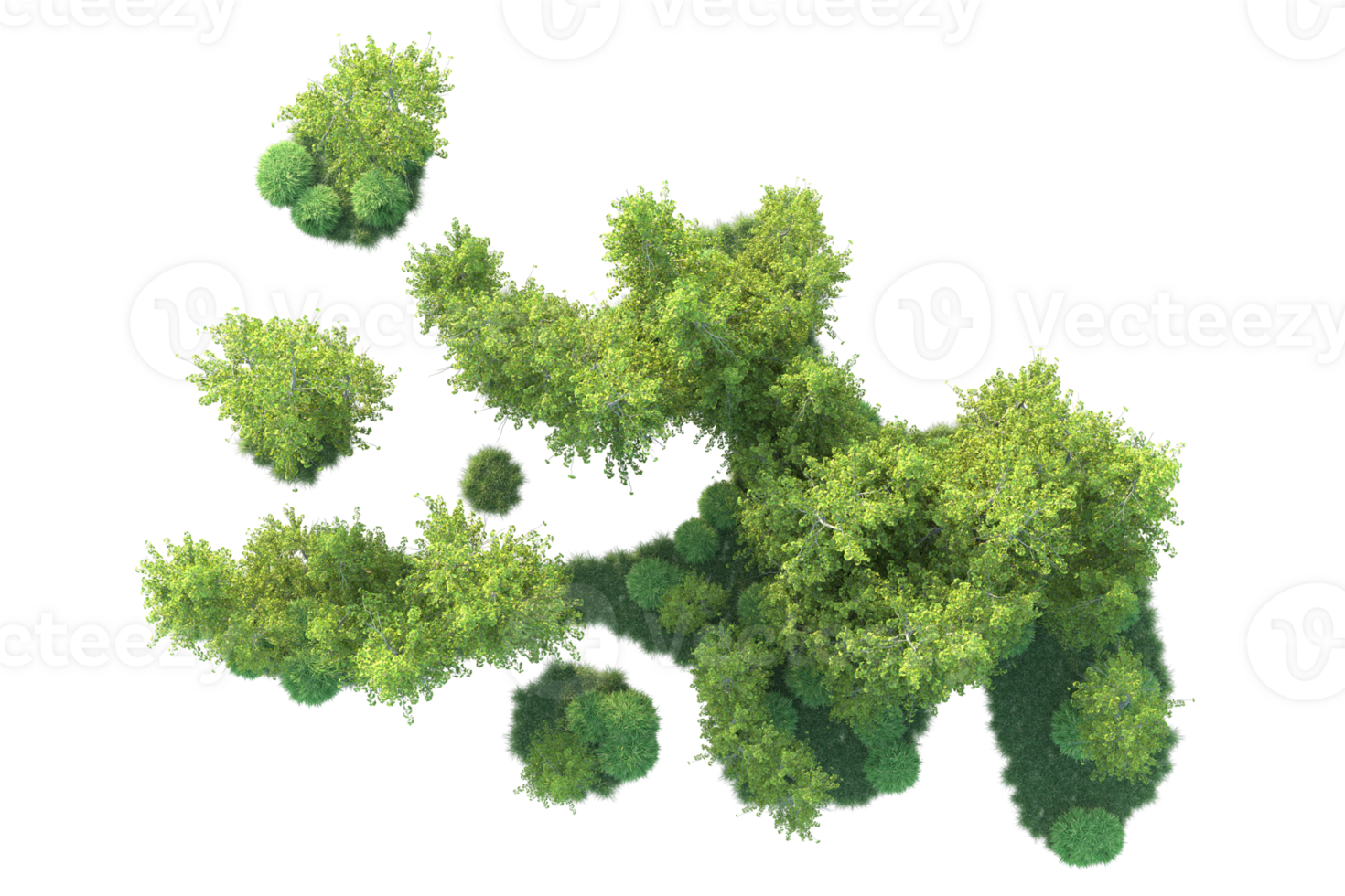 Tropical forest isolated on transparent background. 3d rendering - illustration png