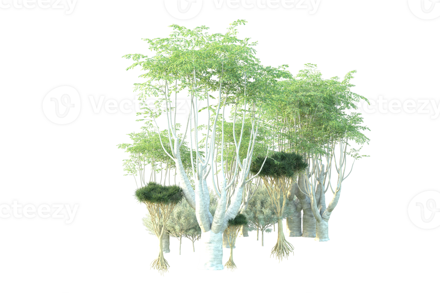 Tropical forest isolated on transparent background. 3d rendering - illustration png
